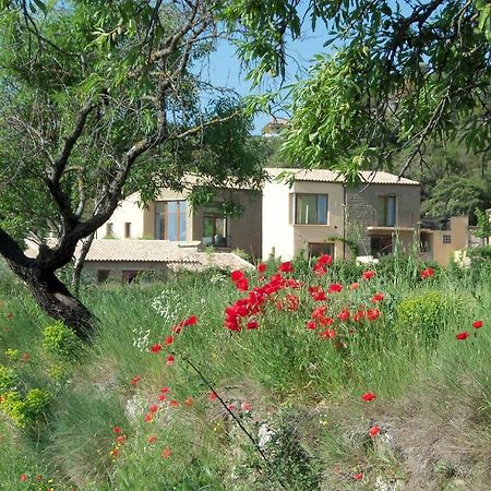 Alen D'Aragon Guest House Santa Eulalia de Gallego Exterior photo